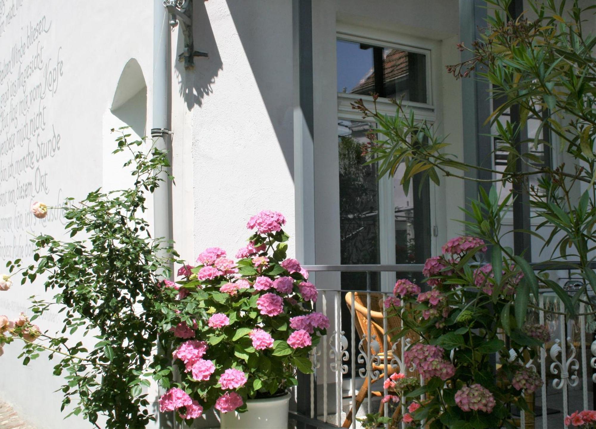 Herrenhof Worms Exteriör bild