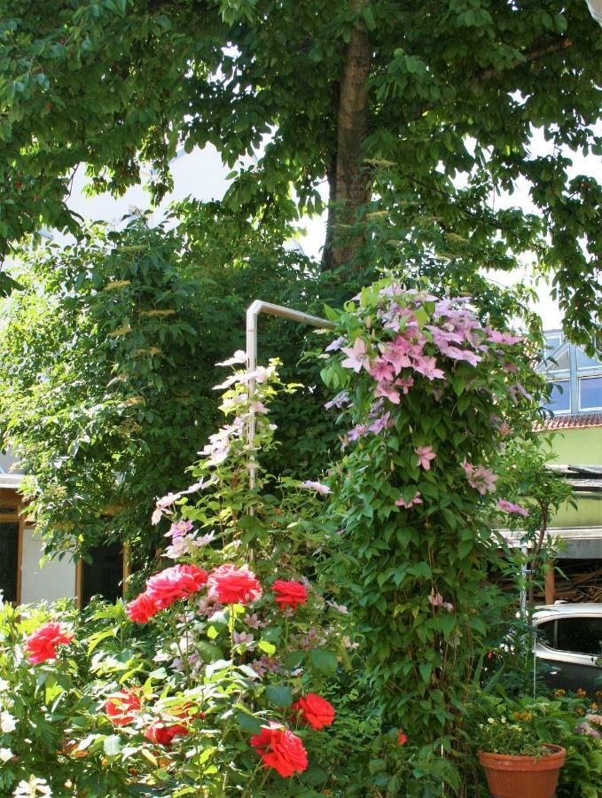 Herrenhof Worms Exteriör bild