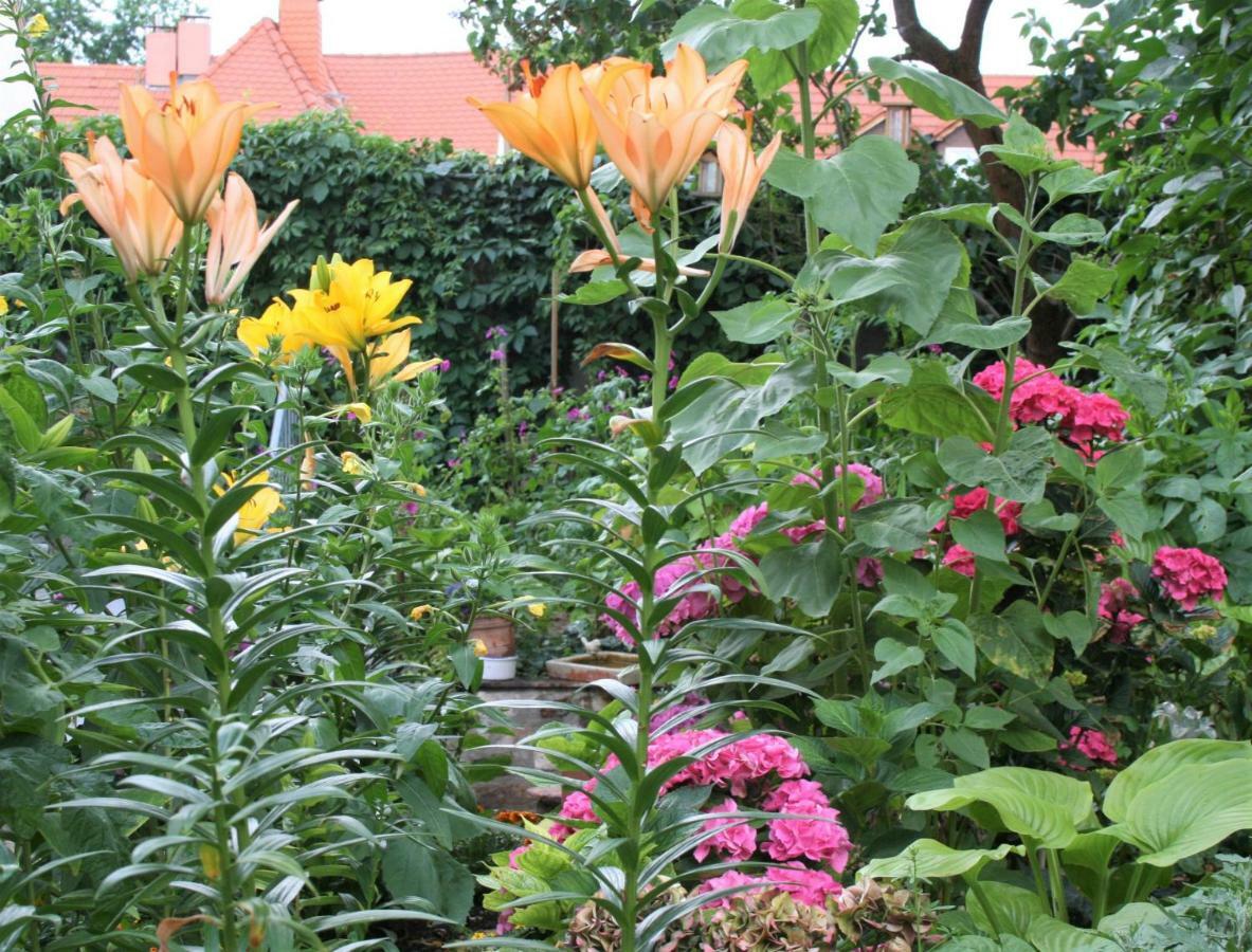 Herrenhof Worms Exteriör bild